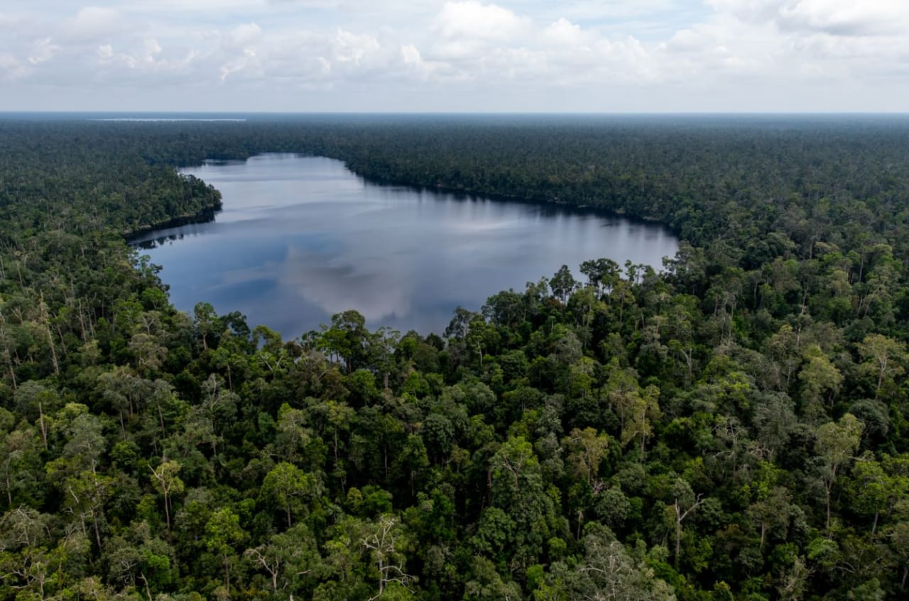RER Catat Kemajuan Dalam Memperbaiki Hutan Rawa Gambut Utuh Terbesar di Sumatera