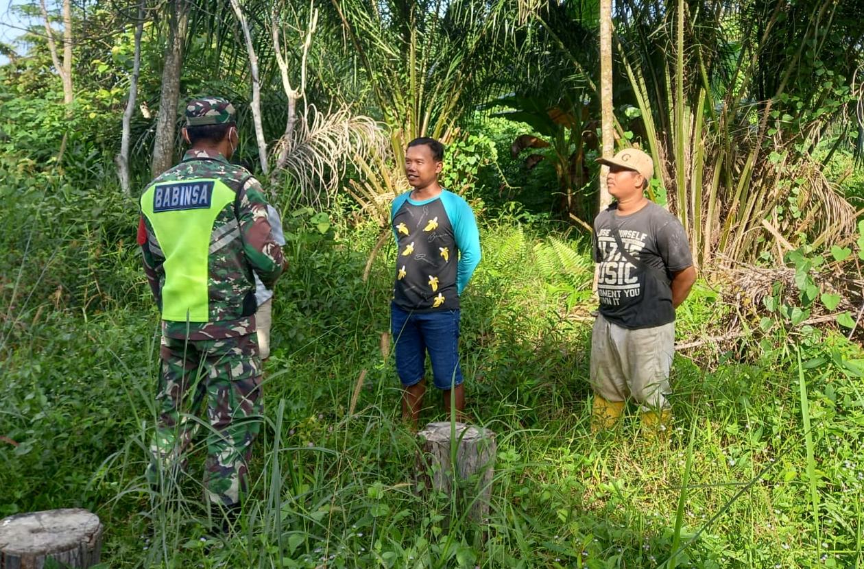 Cegah Karhutla,  Sertu TH Hutagalung Sisir Hutan Dan Lahan