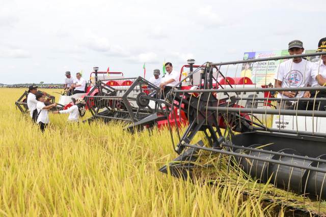 Menko Maritim RI Lakukan Panen Raya di Kampung Bungaraya