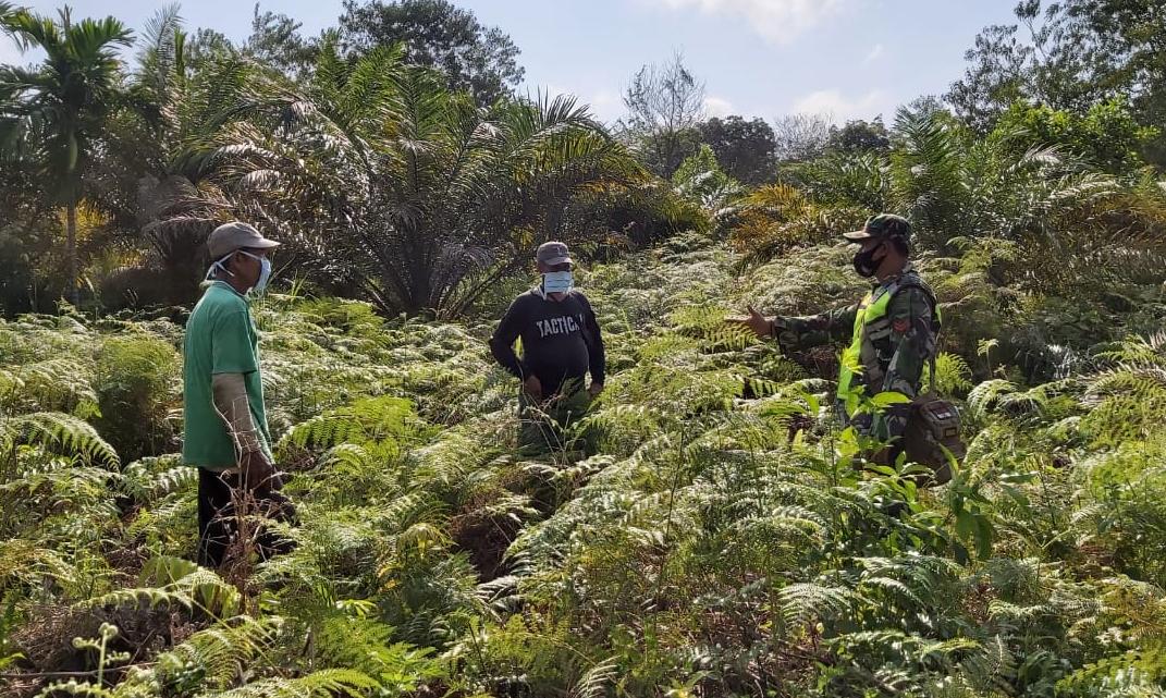 Koptu Deddy Harianto Sampaikan ke Masyarakat Agar Tidak Bakar Hutan Dan Lahan