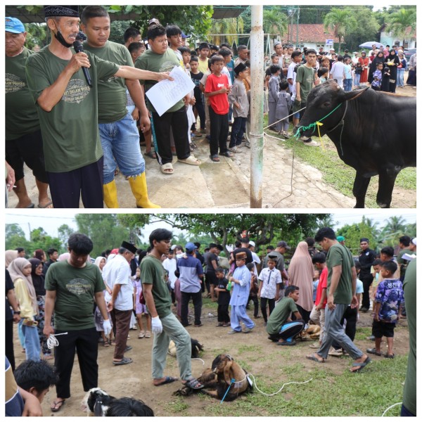 Tebar Manfaat untuk Masyarakat, PHR Zona 1 Salurkan Hewan Qurban di Sekitar Wlayah Operasi