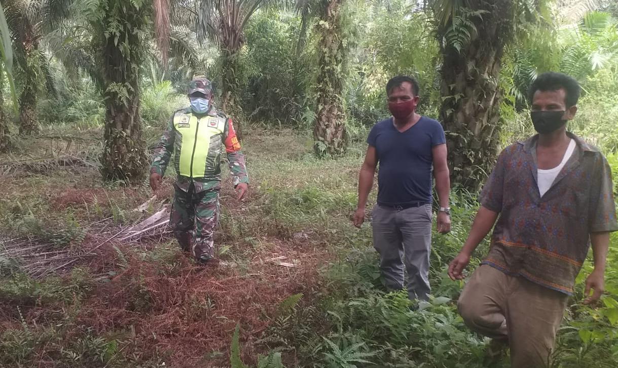 Rusak Ekosistem Hutan dan Polusi Udara,  Serda Venus Luberto Minta Masyarakat Tidak Membakar