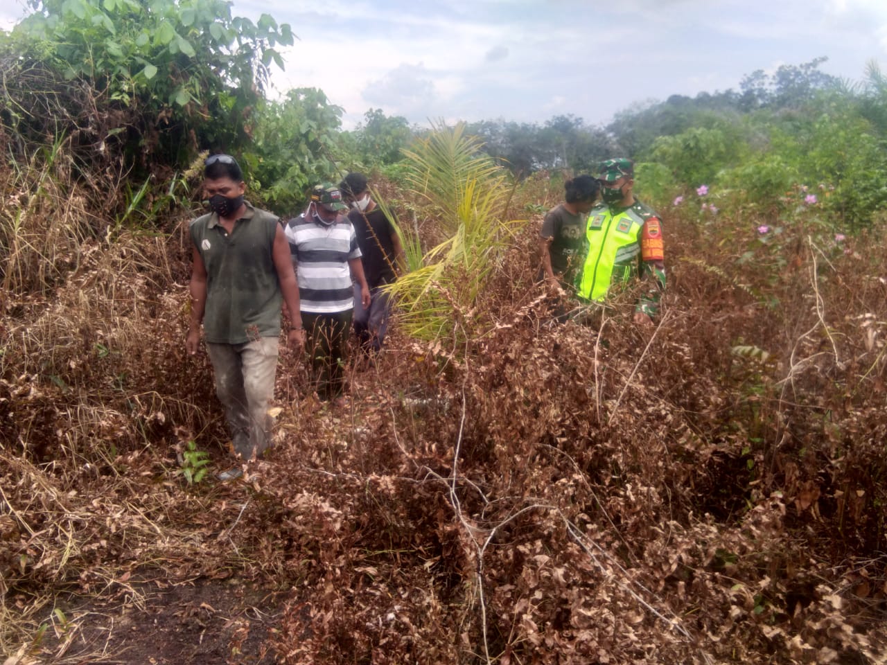 Sisir Sampai ke Lahan Warga, Babinsa Teluk Rimba Minta Warga Tidak Bakar Lahan