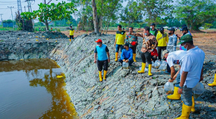 Moment Goro Kamis, Pemkab Rohil Tabur Benih Nila Hitam