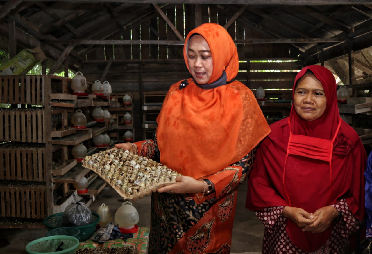 Tingkatkan Ekonomi Keluarga, Rasidah Tinjau Peternakan Burung Puyuh di Bungaraya