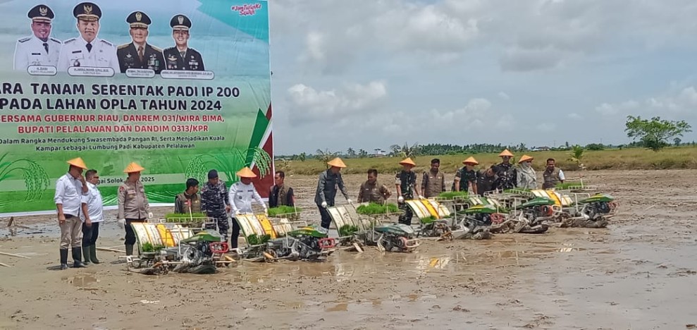Hadiri Penanaman Padi Serentak di Kuala Kampar, Bupati Zukri : Potensi Yang Luar Biasa