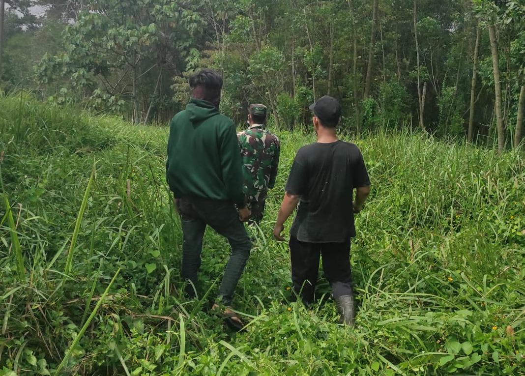 Sisir Hutan dan Lahan, Sertu Alexander Sigalingging: PST Nihil Dari Titik Api