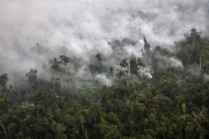 Waduh, Ada 29 Titik Panas Terdeteksi di Riau