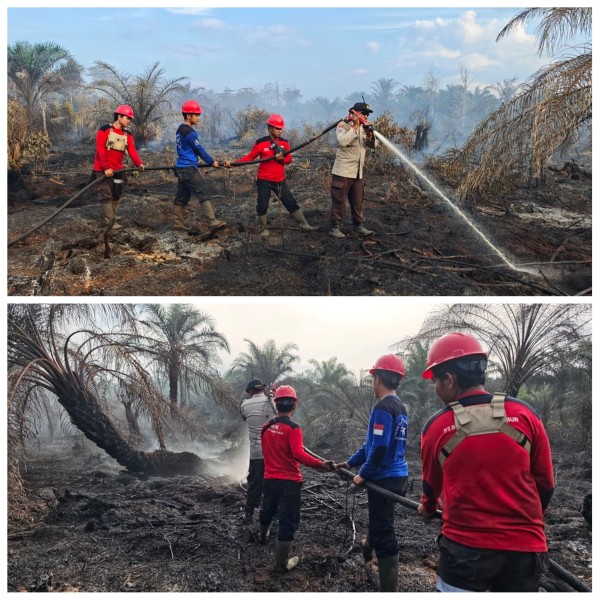 PT Sari Lembah Subur (SLS) Gerak Cepat Bantu Padamkan Kebakaran Lahan di Kerumutan