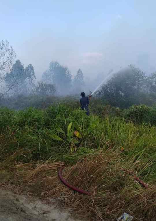 6 Hektar Lahan di Tualang Terbakar, Camat Sebut Sudah Dipadamkan