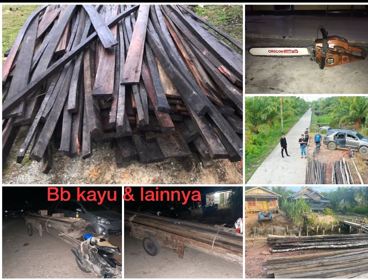 Tanpa SKSHH, 2 Aksi Illegal Logging Rohil Diangkut Polisi