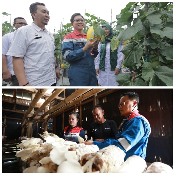 PHE Raih Impact Masters Awards 2026, Tegaskan Komitmen Keberlanjutan dan Pemberdayaan Masyarakat