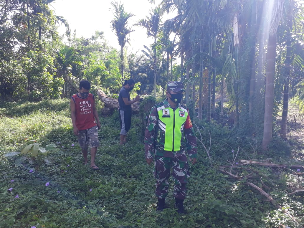 Sisir Hutan Dan Lahan, Sertu Th Hutagalung Ajak Masyarakat Pantau Titik Api