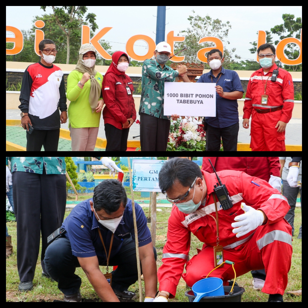 Dukung Upaya Pemko Hijaukan Kota Dumai, Pertamina Serahkan 1000 Bibit Pohon Tabebuya