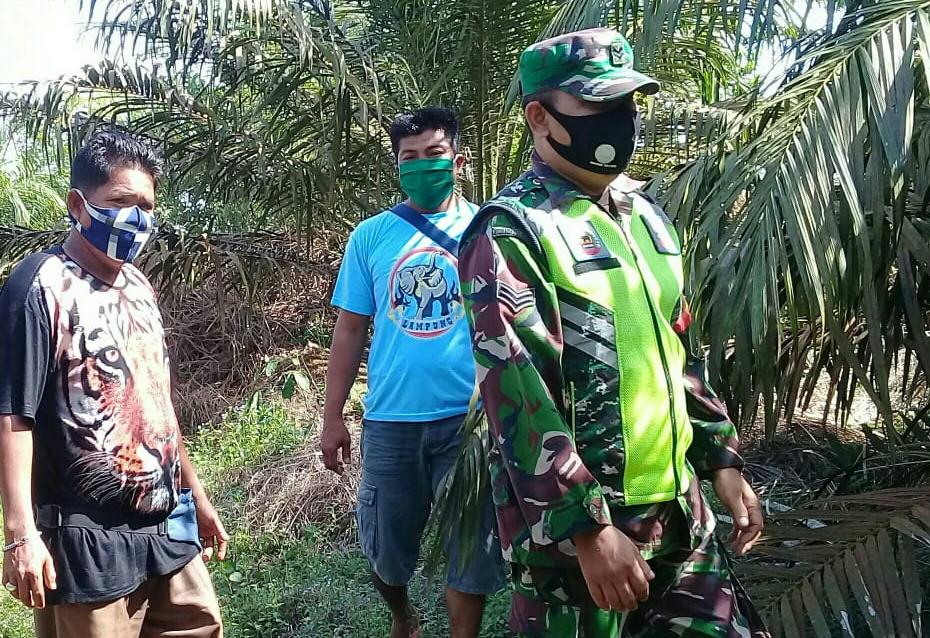 Antisipasi Karhutla, Sertu Afrisal Lakukan Patroli di Pangkalan Pisang