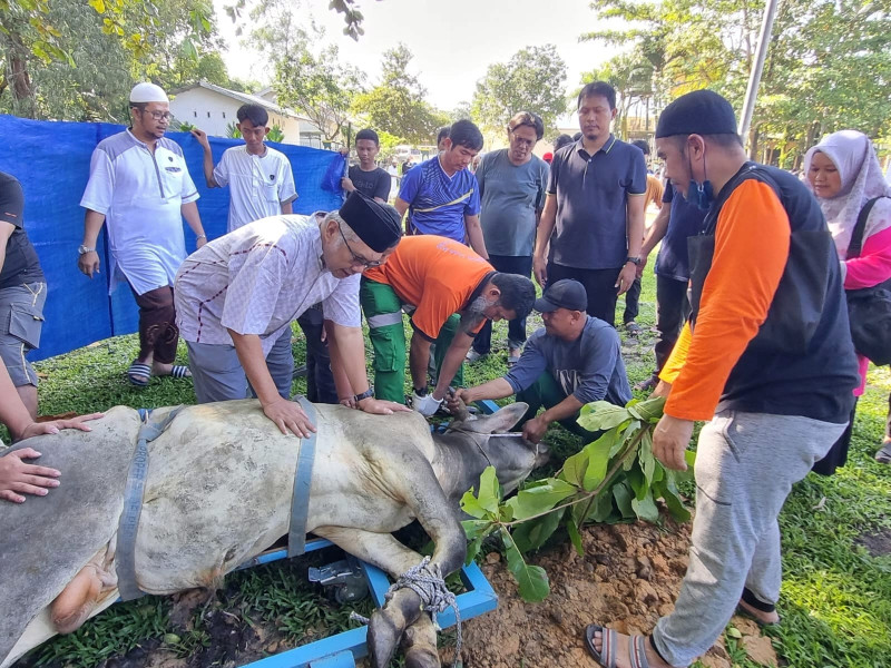 Idul Adha 1444 H, Karyawan RAPP Potong 150 Hewan Qurban