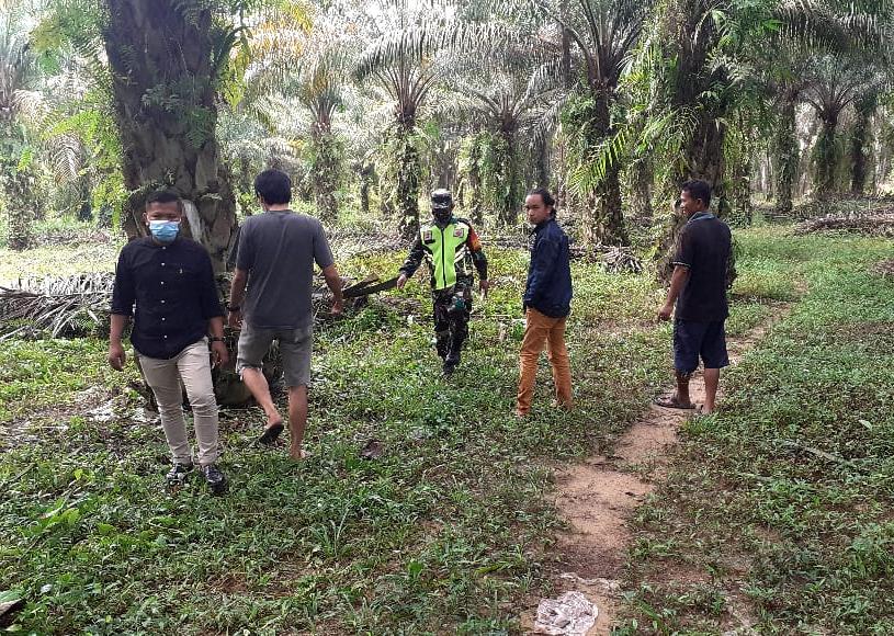 Dinilai Rawan Karhutla, Sertu Sahabat Mendrofa Cek Kebun Warga