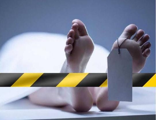 Supir PT BRL Tewas Tertimpa Kayu Akasia Di PT IKKP Tualang