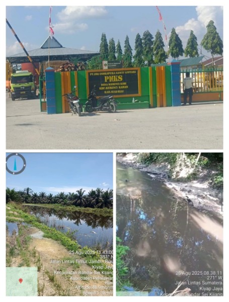 Limbah PT SISL Cemari Sungai Kiyap Jaya
