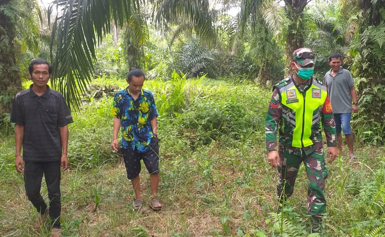 Rusak Ekosistem Hutan dan Sebabkan Polusi Udara, Koptu TM Sitorus Ingatkan Warga Tidak Bakar Lahan