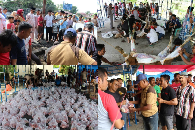 Momen Idul Adha 1439 H, Polres Pelalawan Sembelih 12 Ekor Hewan Qurban