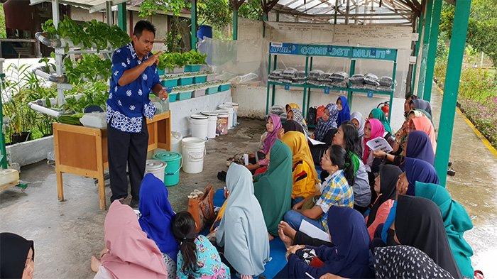 Puluhan Ibu di Pangkalan Kerinci Ikuti Pelatihan Hidroponik