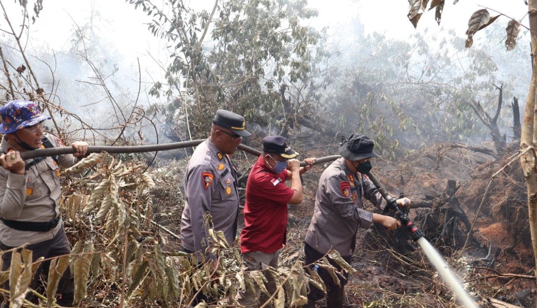 Karhutla di Teluk Meranti Berhasil Dikendalikan, Monitoring Ketat Terus Dilakukan