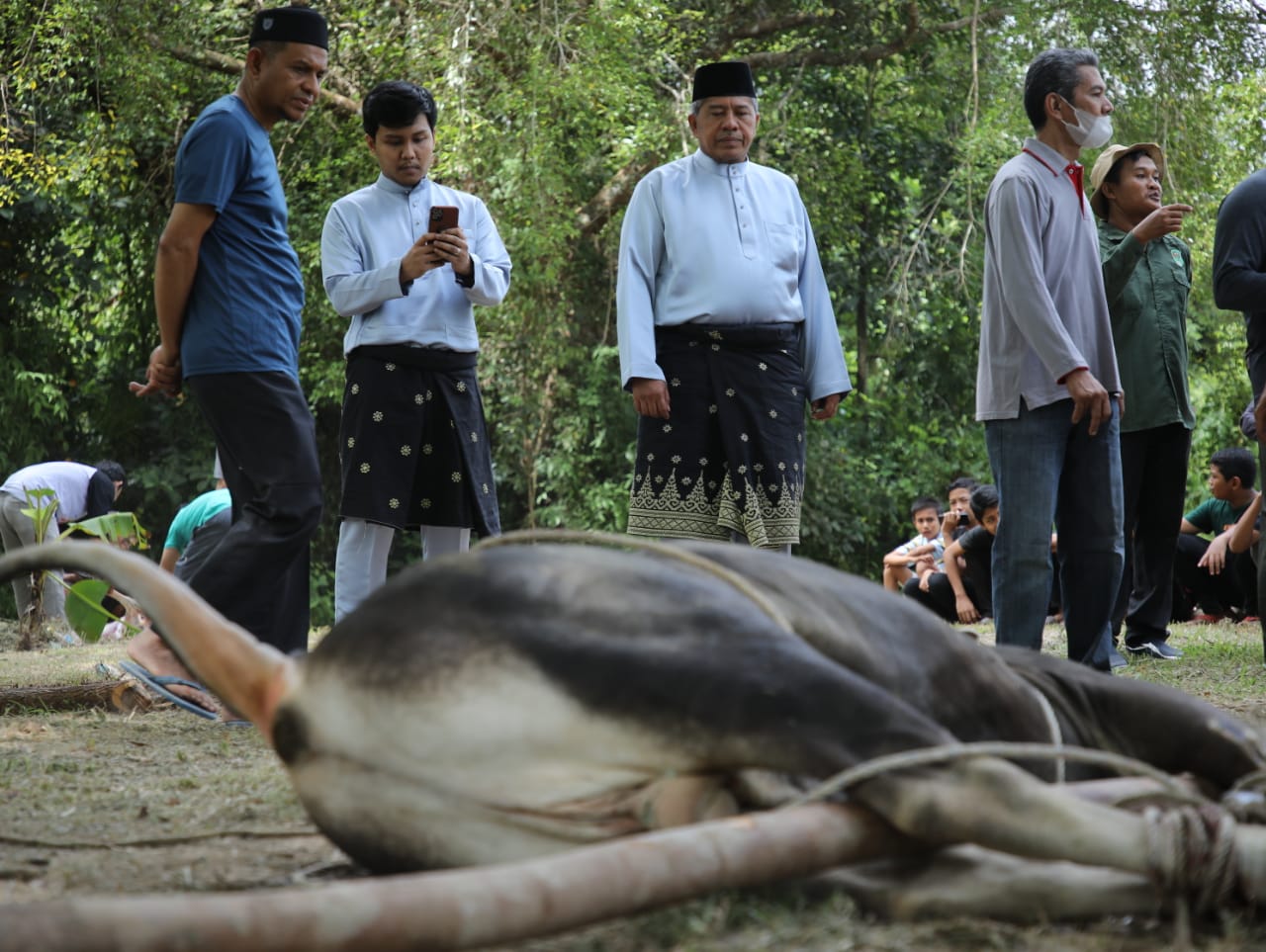 Qurban Capai 3391 Ekor Aman dari PMK