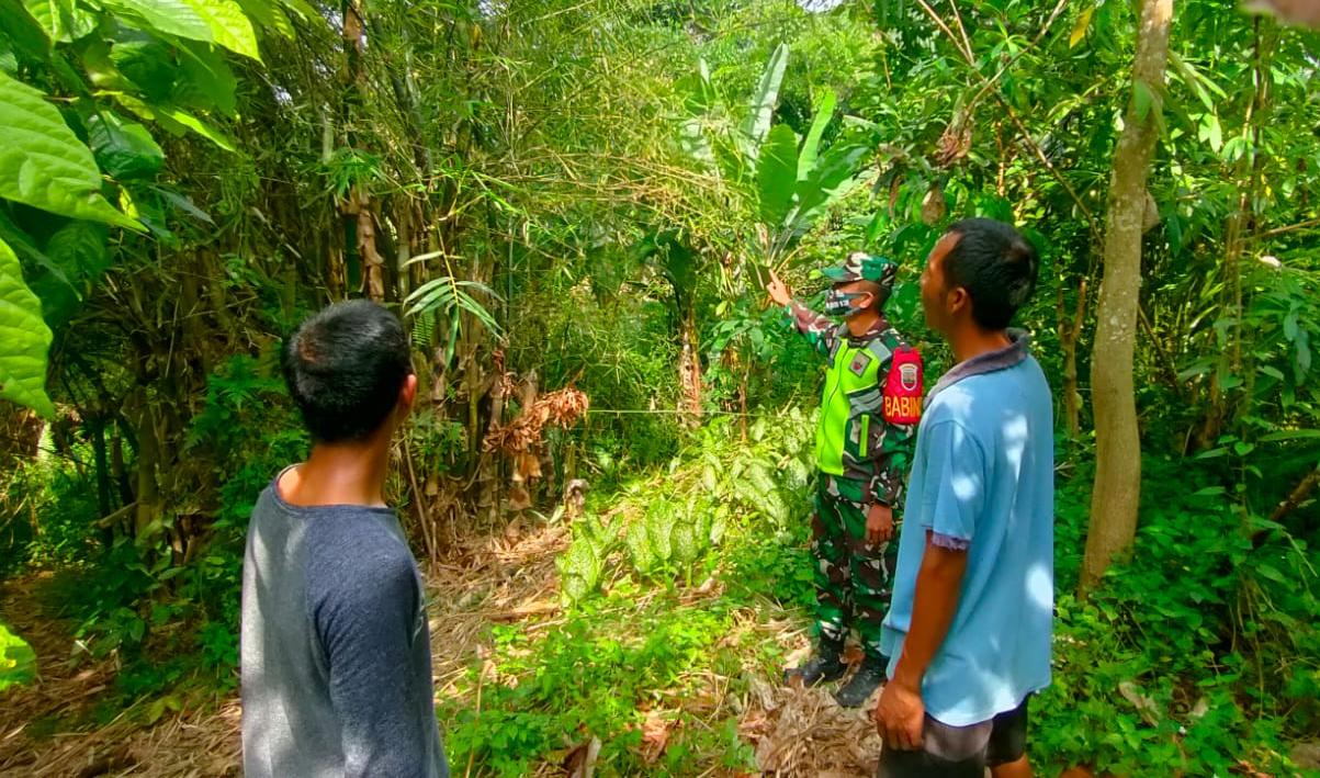 Sisir Hutan Dan Lahan, Kopda Suratno: Pelaku Karhutla Akan Dipenjara