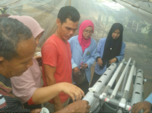 Mahasiswa Unri Perkenalkan Tanaman Hidroponik ke Masyarakat Tanjung Beringin