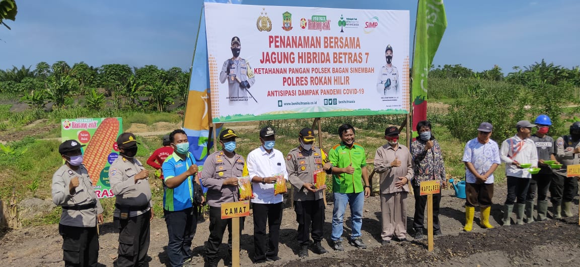 Bhayangkara Rohil Tanam Jagung di Balam Jaya