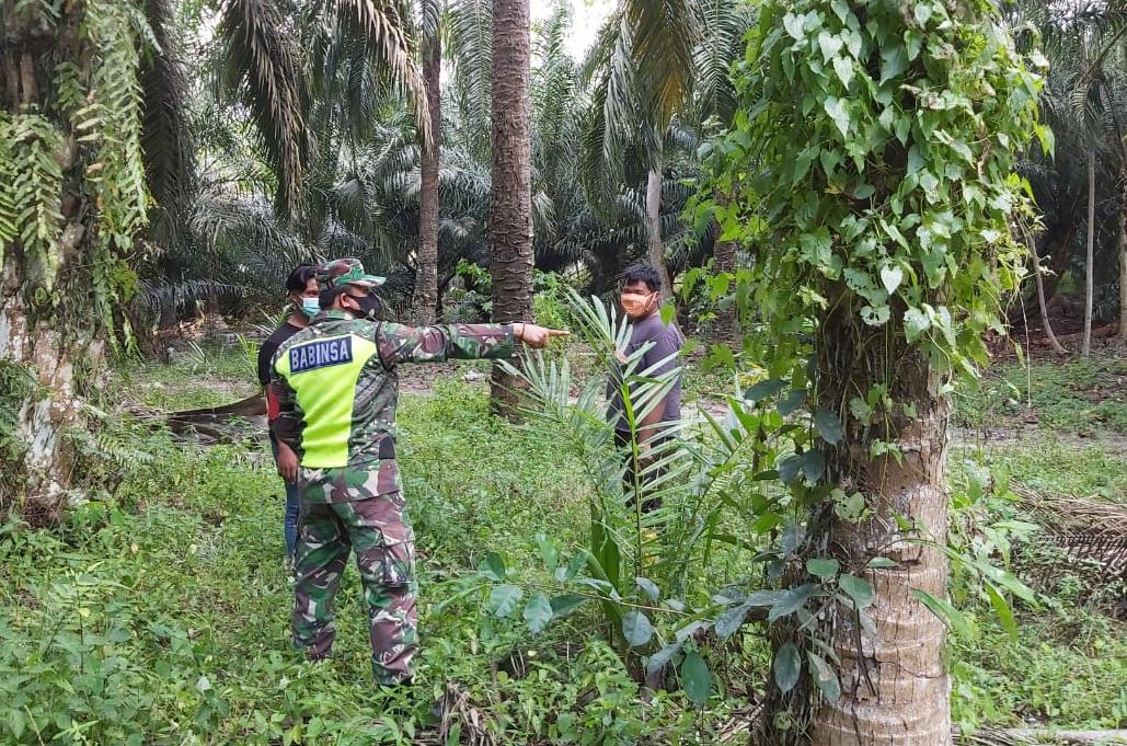 Cegah Karhutla, Koptu Deddy Harianto Ajak Masyarakat Tidak Membakar Lahan
