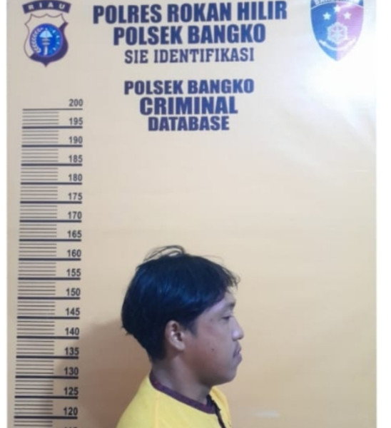 Unit Reskrim Polsek Bangko  Tangkap Buronan Narkotika Di Bagansiapiapi