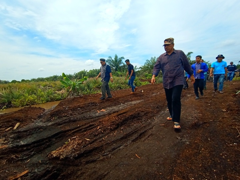 Bupati Alfedri Tinjau Persiapan Pembangunan Jalan Teluk Lanus – Tanjung Buton