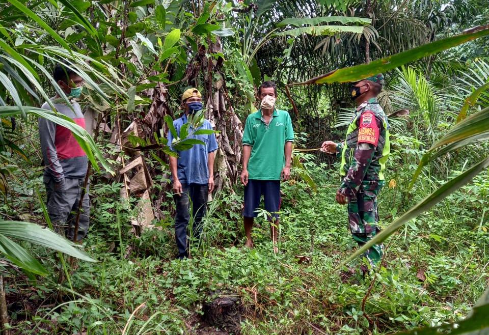 Sertu TH Hutagalung Sebut, Terbukti Membakar Lahan Akan Dipenjara 10 Tahun