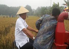 Menuju Rohil Mandiri di Bidang Swasembada Pertanian
