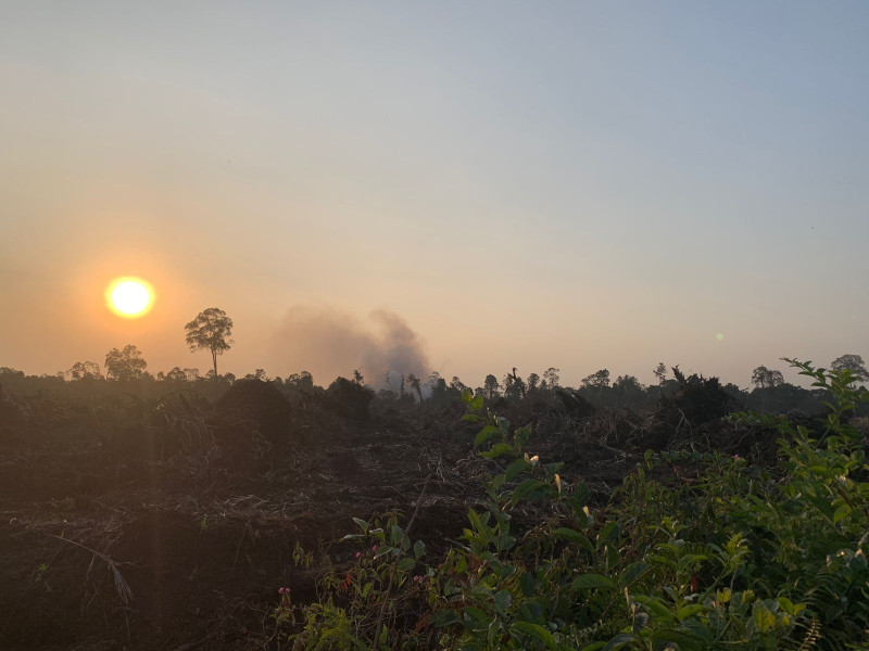 Lahan Koperasi RTBS Terbakar, Gotong Royong dari Berbagai Pihak Berhasil Kendalikan Api