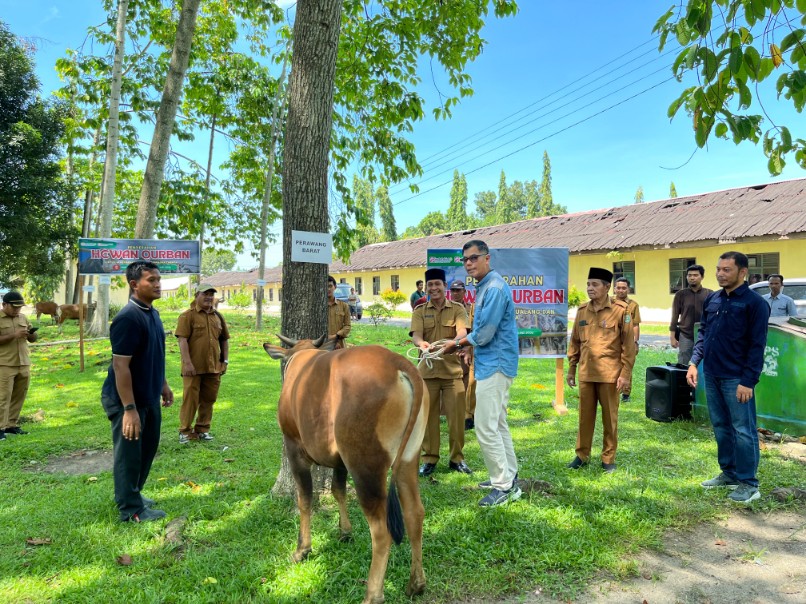 PT IKPP Perawang Salurkan 12 Ekor Sapi Untuk Masyarakat di Wilayah Operasional Perusahaan