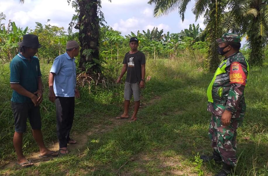 Koptu K Manullang: Pelaku Karhutla Akan Dipenjara
