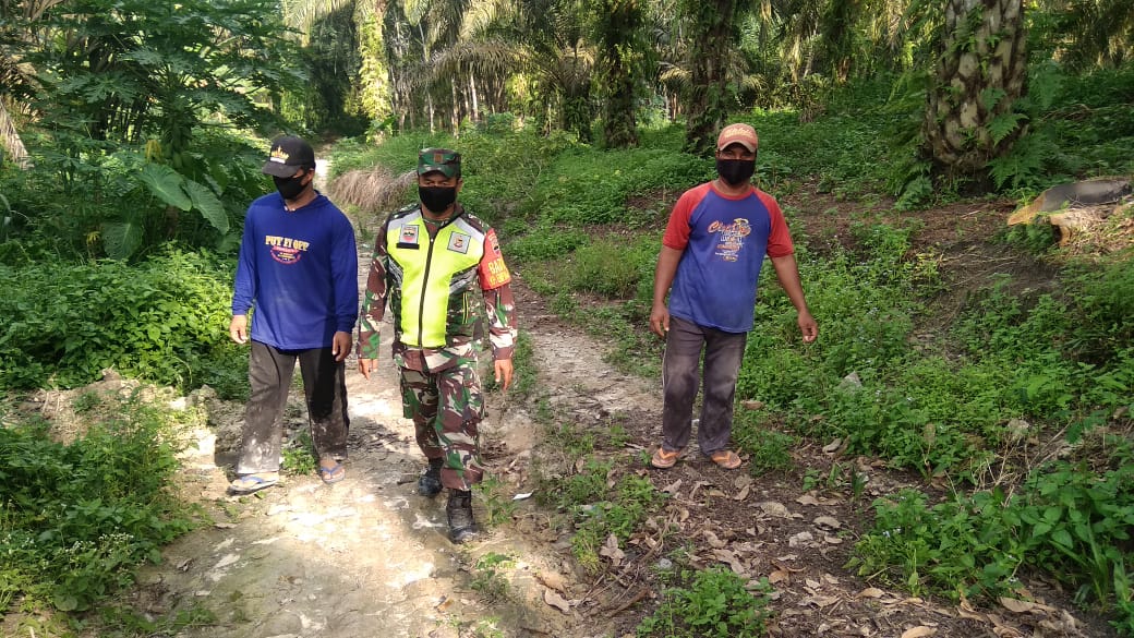 Kedapatan Membakar Hutan dan Lahan Akan di Pidana