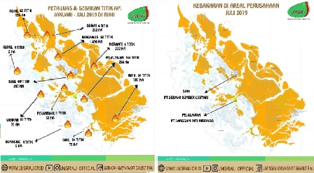 PT LIH Bantah Lahannya Terbakar, Bahkan Perusahaan Ikut Padamkan Api