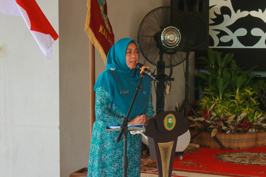 PKK Riau Sebut, PKK Siak Sangat Istimewa