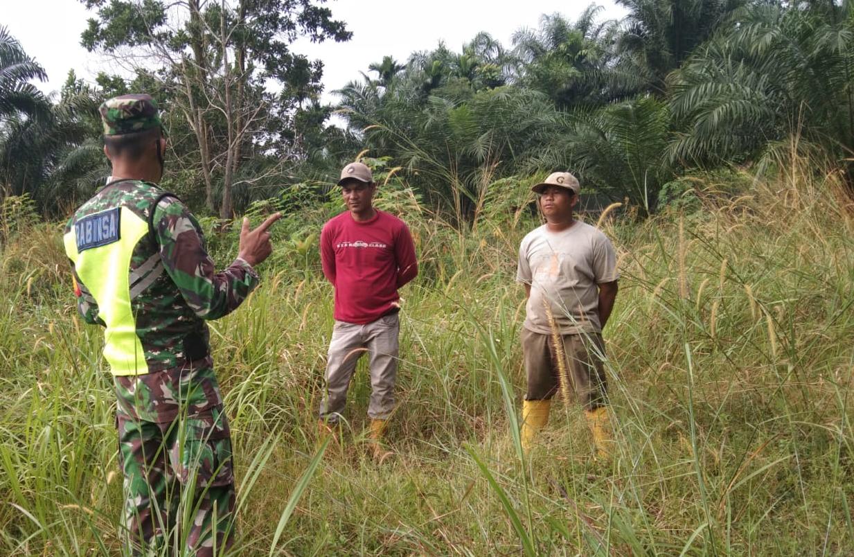 Sisir Hutan Dan Lahan di Kelurahan Perawang, Sertu Abdon Pardosi Tidak Temukan Titik Api