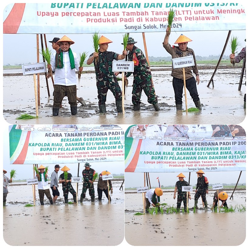 Bupati Zukri Sebut Tahun Ini Akan Dibangun  Tanggul Dukung Program Penanaman Padi IP 200