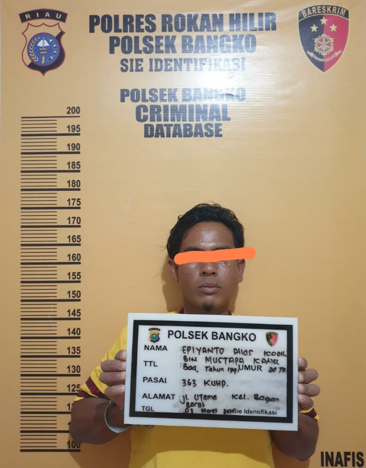 Gasak TV dan Laptop, Curat Dibekuk