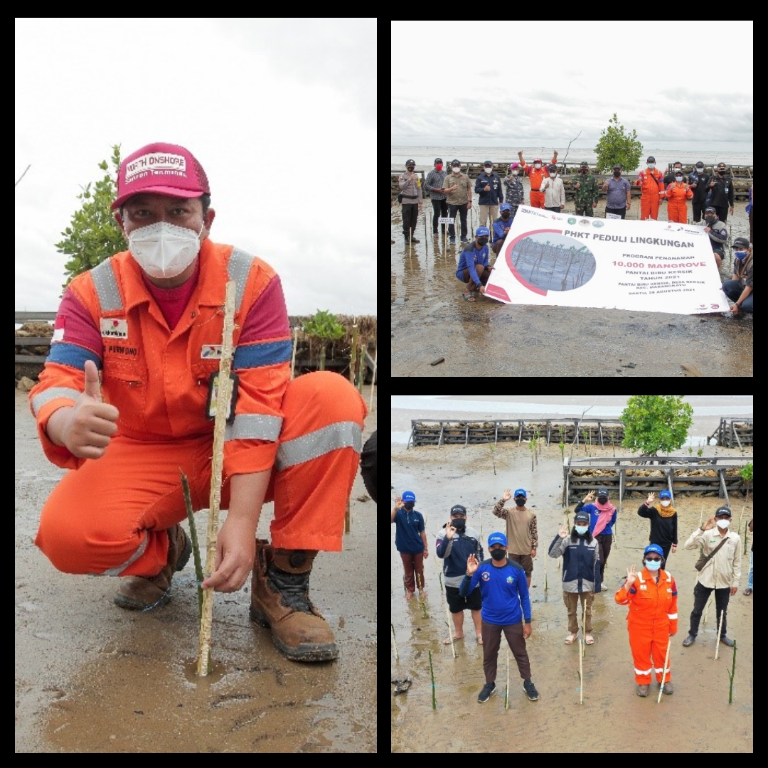 Kembangkan Ekowisata Lokal, Pertamina Tanam 10.000 Mangrove di Pantai Kersik Marangkayu