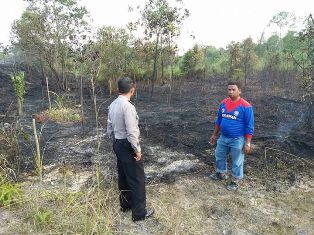 Diduga Sengaja Dibakar, Lahan Setengah Hektar Ludes dilahap Sijago merah