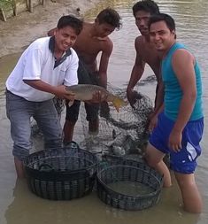 Kelompok Sepakat Tani Makmur Kuansing Segera Panen Berton-ton Ikan