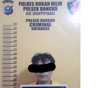 Terlibat Curat, Warga Jarang Tulus Pekaitan Rohil Di Tangkap Polisi