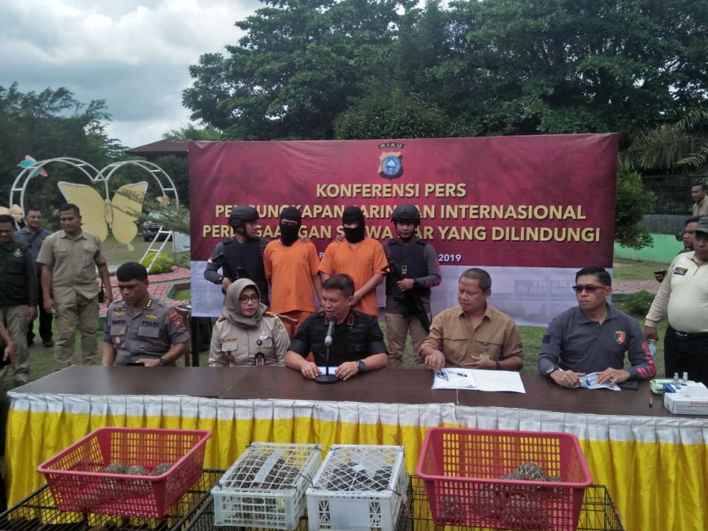 Penjual Leopard dan Singa yang Ditangkap di Riau Ujung Merupakan Jaringan Internasional